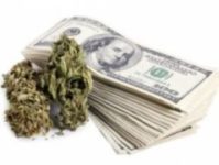 HOW TO START A BUSINESS IN THE MARIJUANA INDUSTRY COURSE 100-B